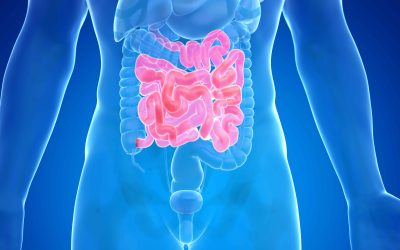 Top tips to treat ‘leaky gut’ – potential cause of IBS