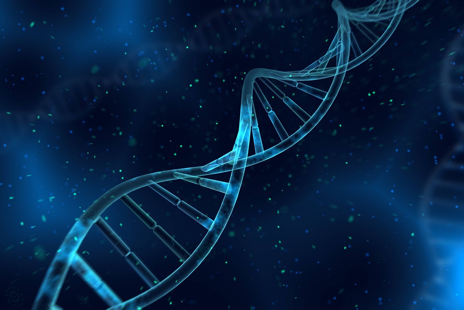 DNA helix.