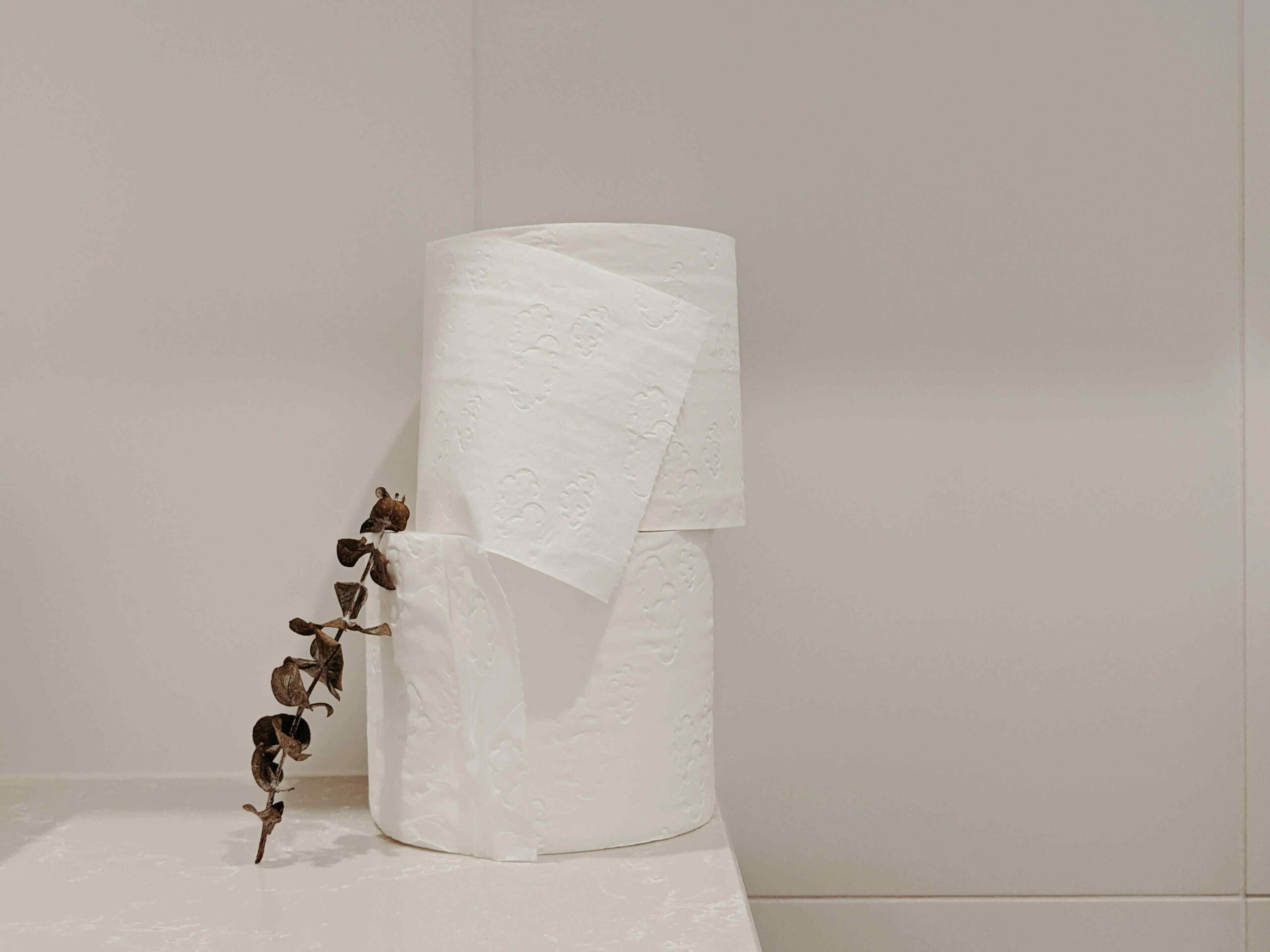 Two toilet papers placed on top of each other.